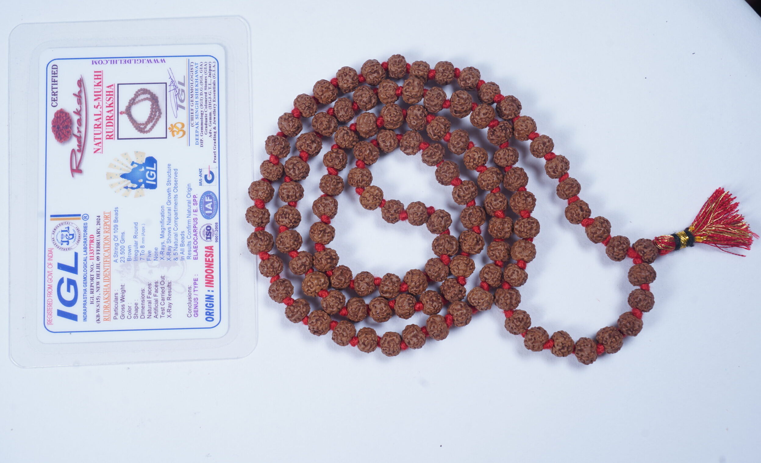 7-8 mm Rudraksha Pathree Mala 108+1 15500. Rs