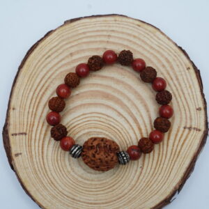 Red Jasper with 3 Mukhi Rudraksha Bracelet